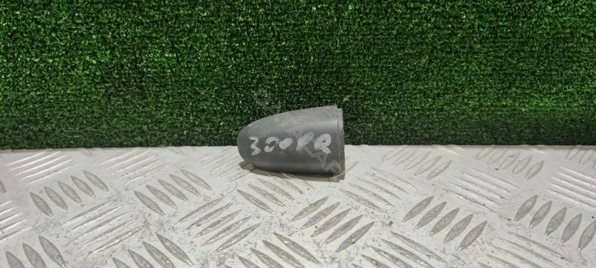 Колпачок (заглушка) ручки двери A9067600020, A9067600277