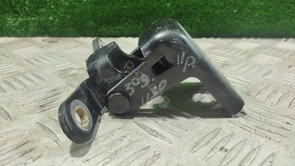 Петля двери A044874