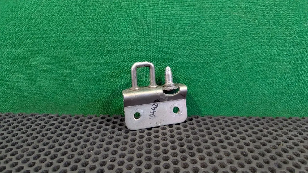 Ответная часть (скоба) замка двери A9067400032