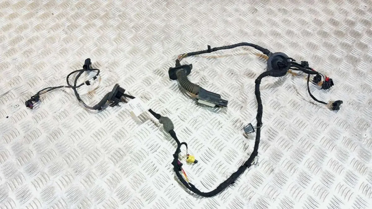 Проводка двери 4G5971030EC