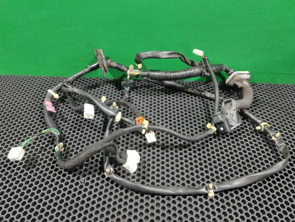 Проводка двери 24125 CC000