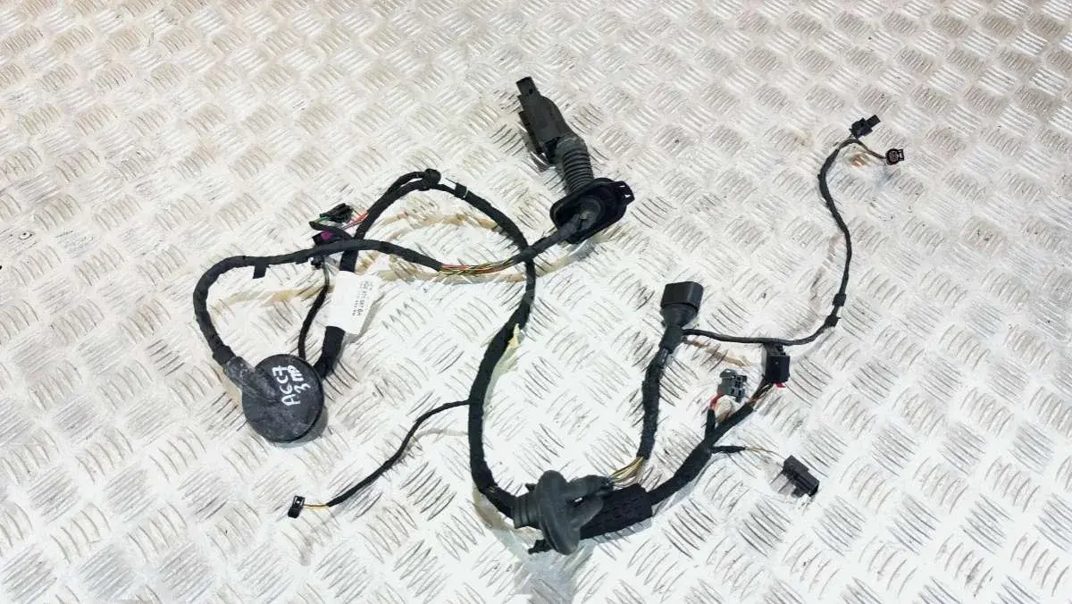 Проводка двери 4G5971687BH