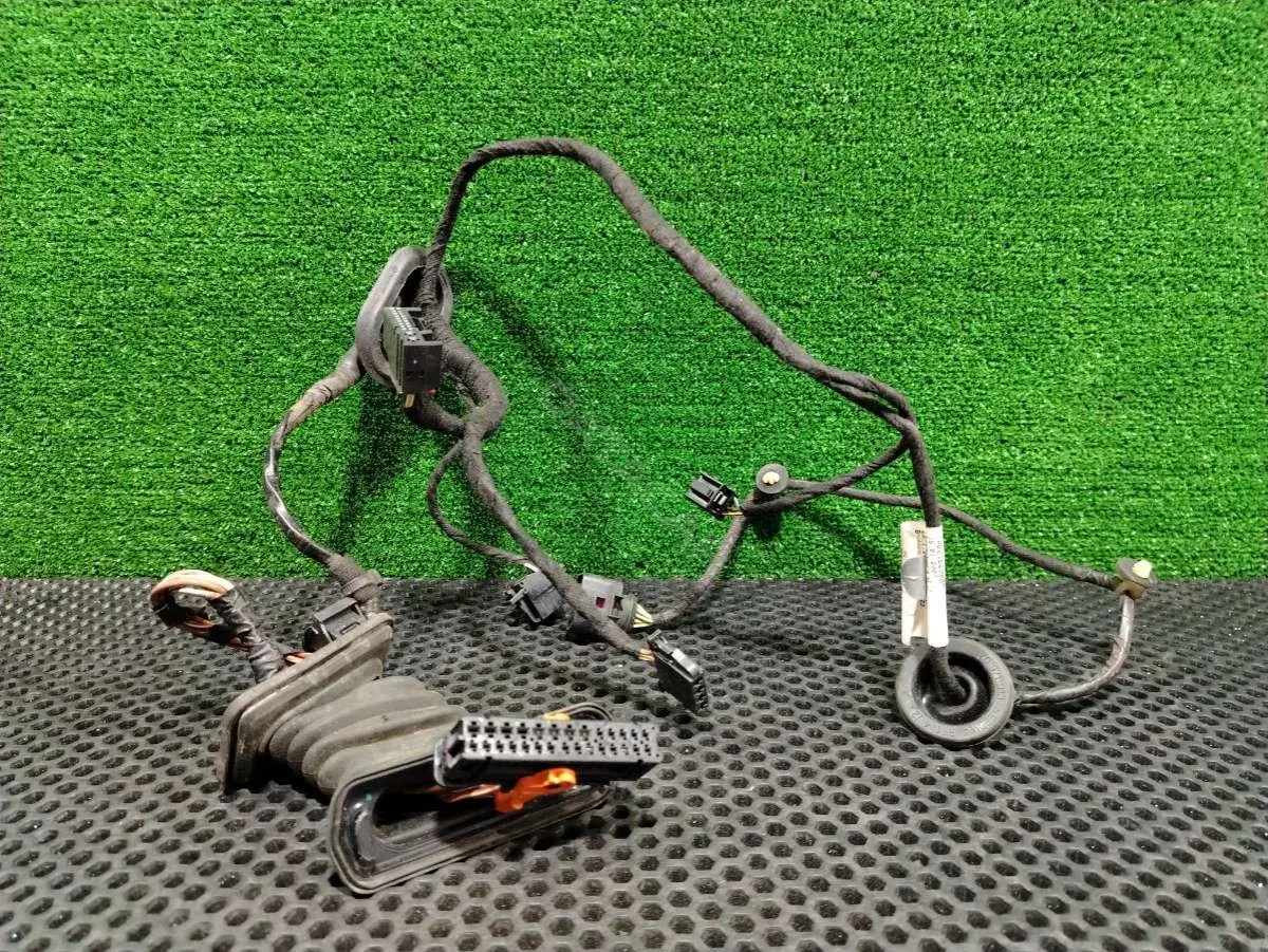 Проводка двери 3C4971693JM
