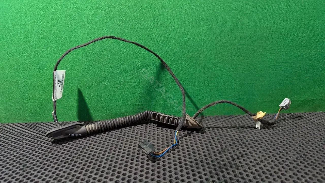 Проводка двери ET76 18C394 AAF