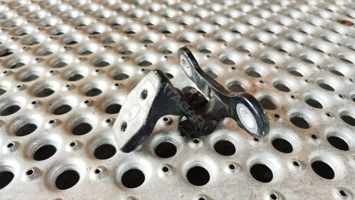 Петля двери 9, BL2