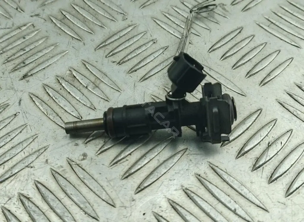 Форсунки 166007686R