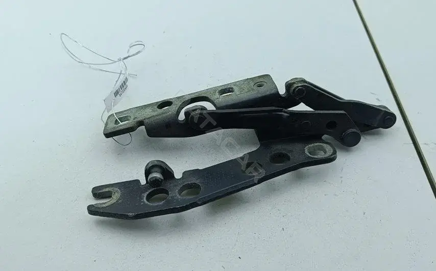 Петля капота 41618203275