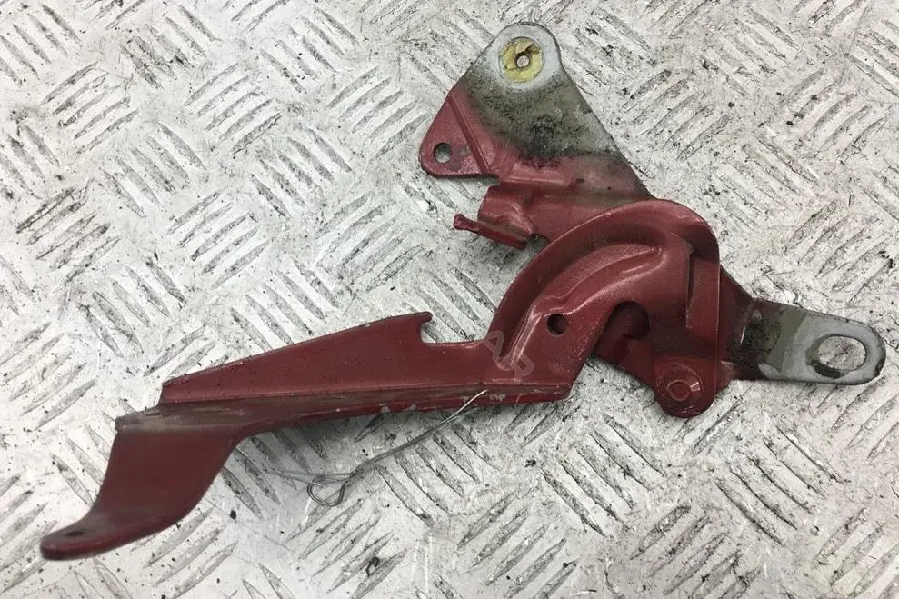 Петля капота 53067674