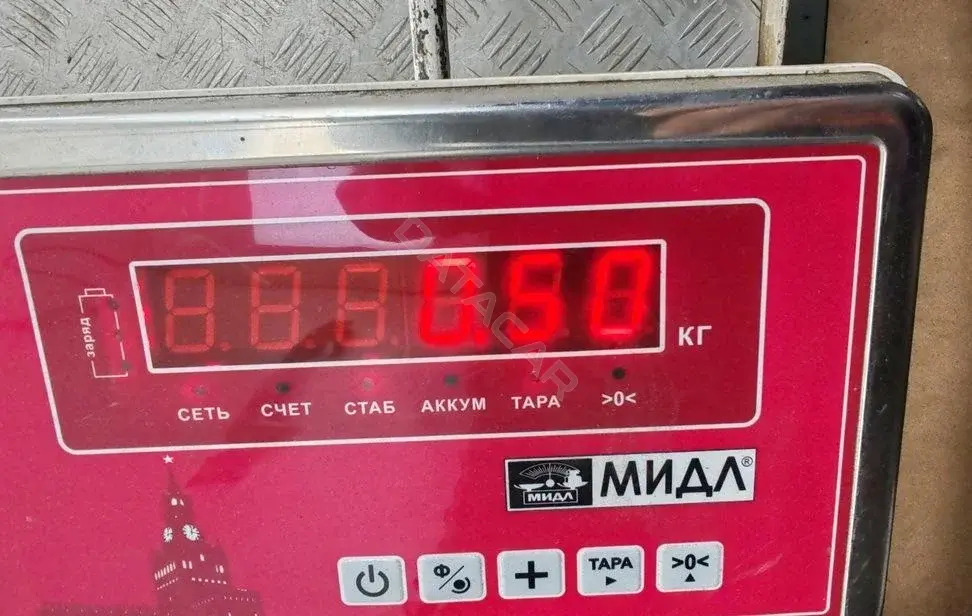 Молдинг двери 55182721