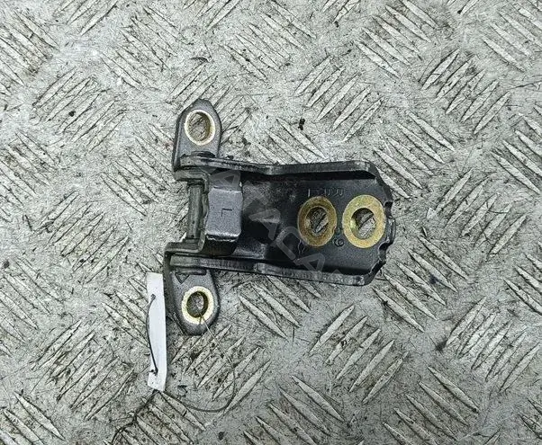 Петля двери 54500956