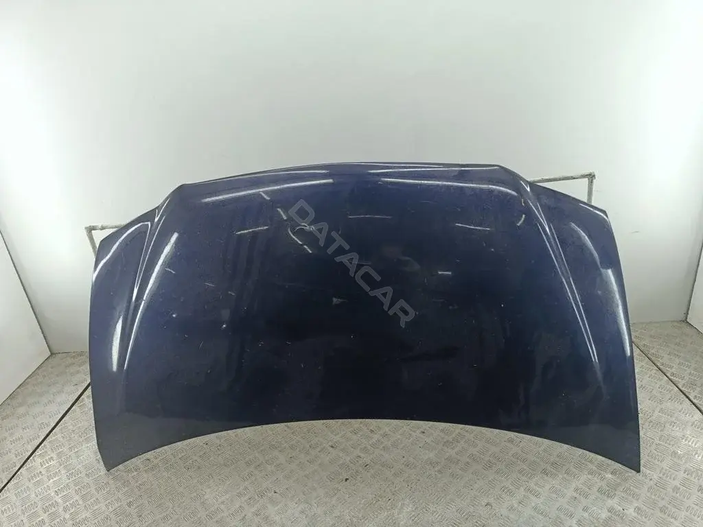 Капот 54619614