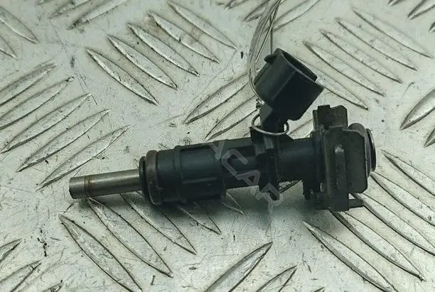 Форсунки 166007686R