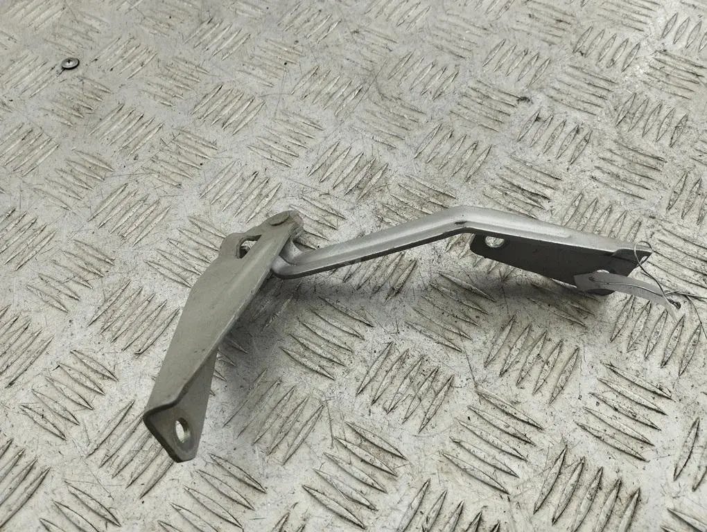 Петля капота XS4116800AE