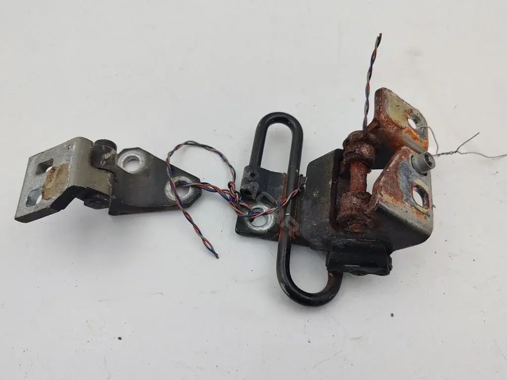 Петля двери 55302070