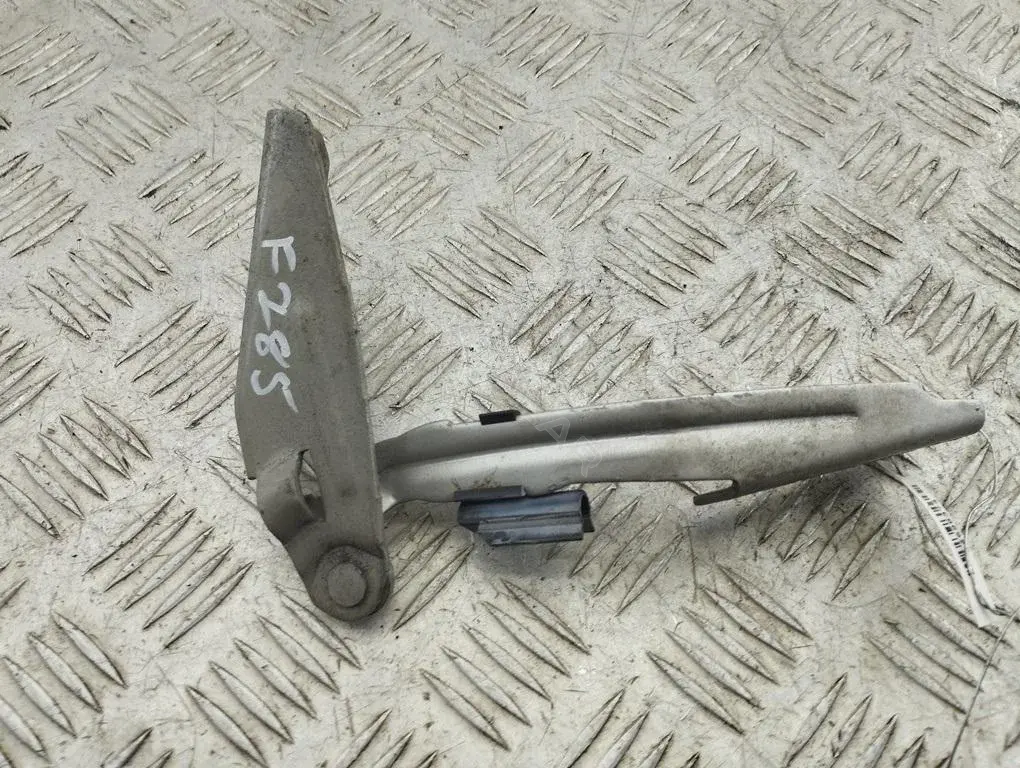 Петля капота XS4116801AF