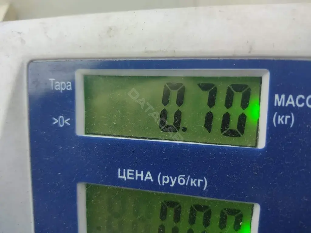 Насос омывателя 900656046
