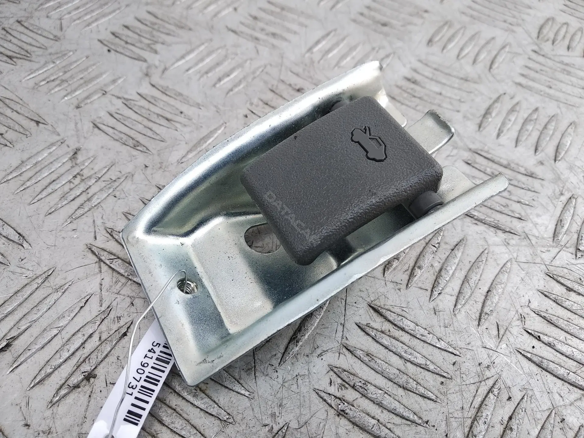 Ручка открывания капота 54190731