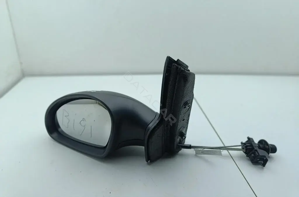 Наружное зеркало 5P1857933