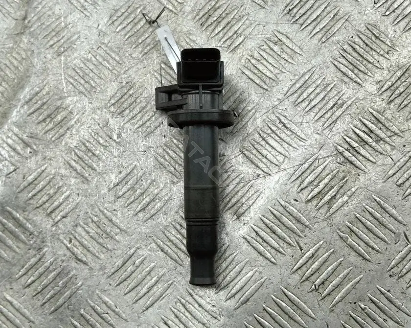 Катушка зажигания 9008019019