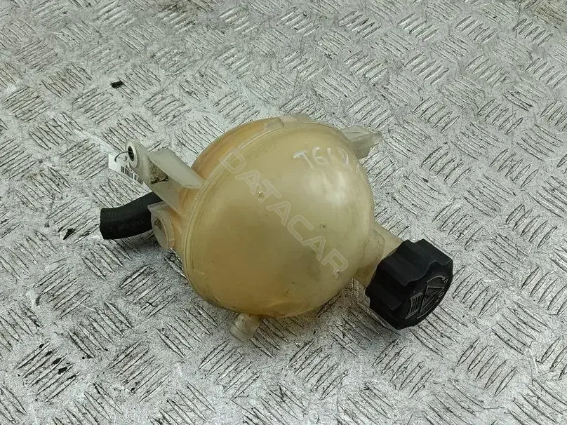 Расширительный бачок 54326778