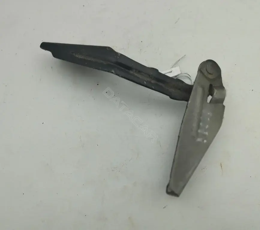Петля капота XS4116801AF