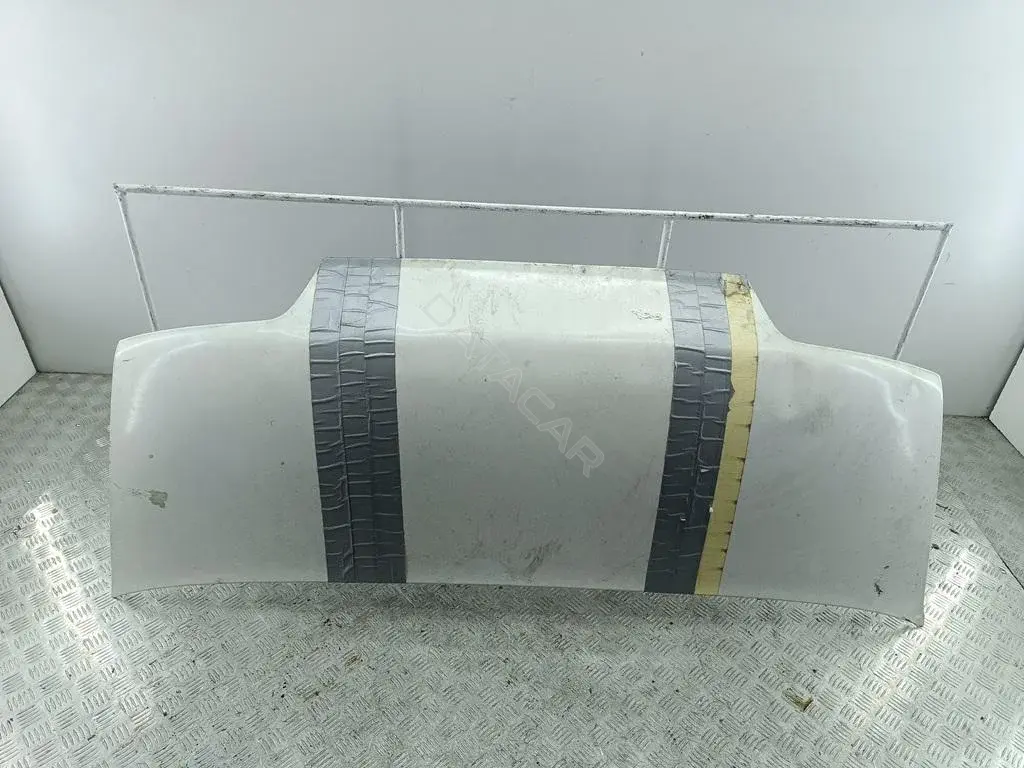 Капот 54638107