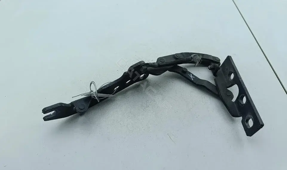 Петля капота 8405173