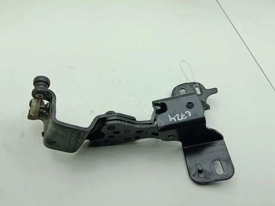 Петля двери AV11R250A69AE