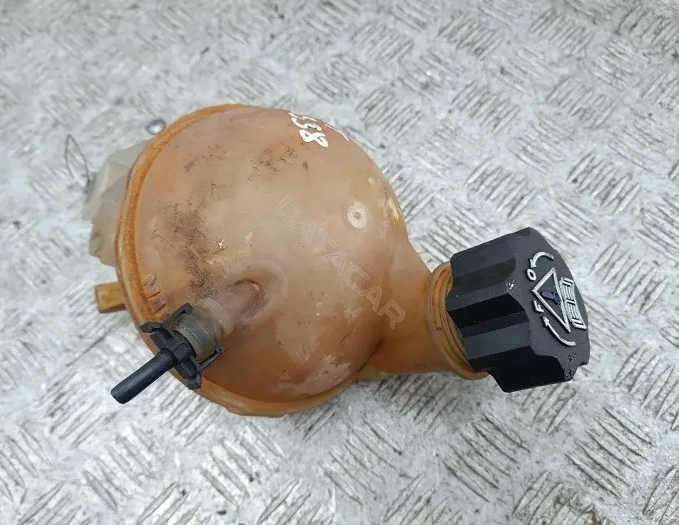 Расширительный бачок 54424996