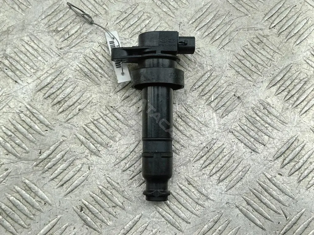 Катушка зажигания 273012B010