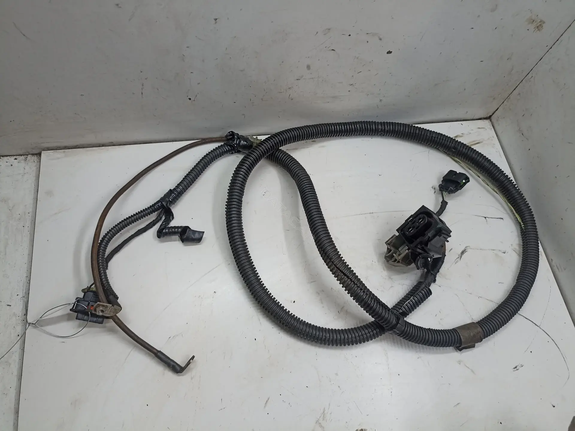 Проводка 55036614