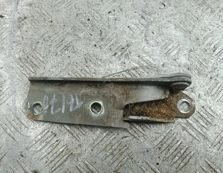 Петля капота 54175445