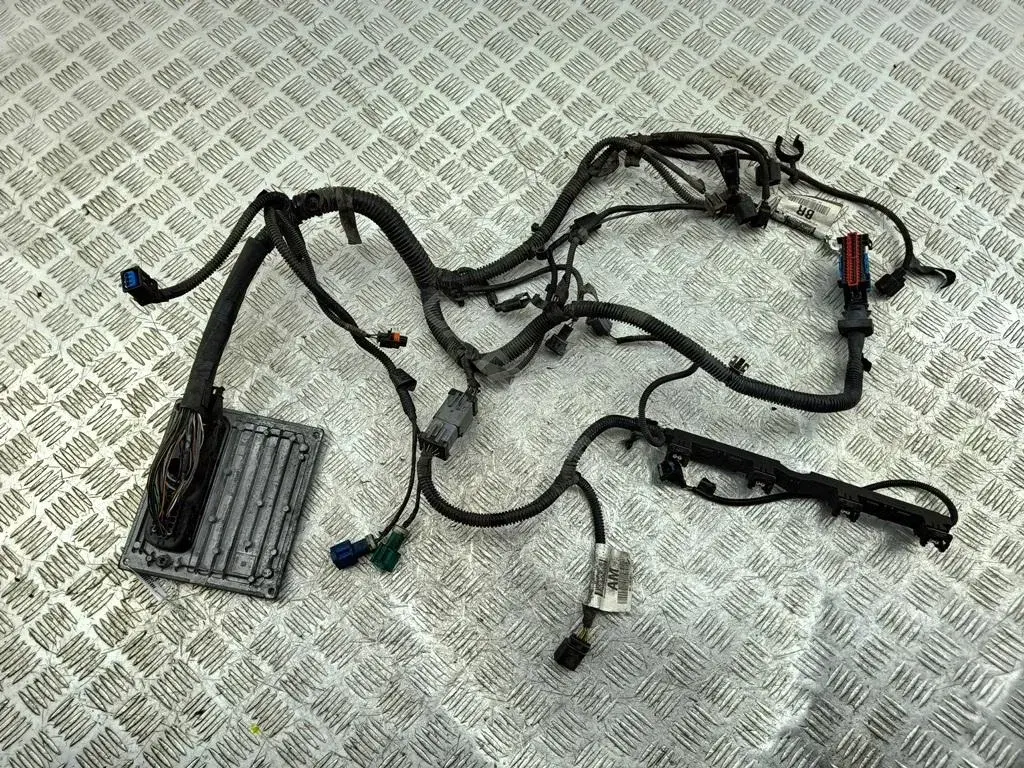 Проводка двигателя 3M5T12A690BR, 4M5112A650HG, S118934101G