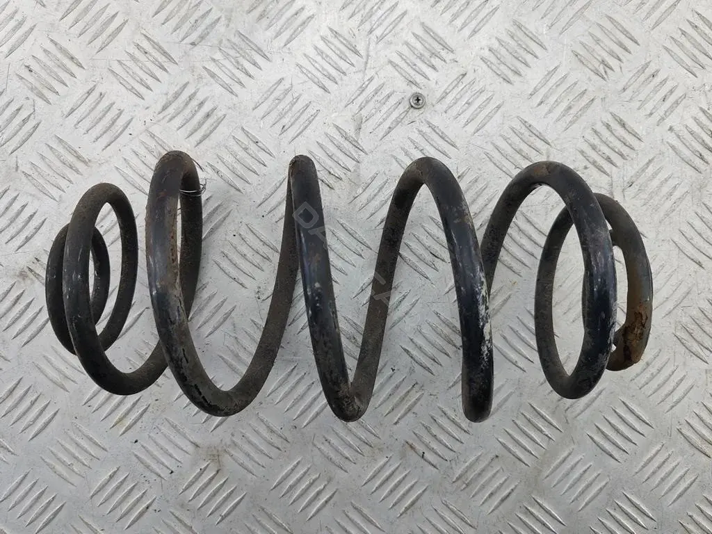 Пружины 55102289