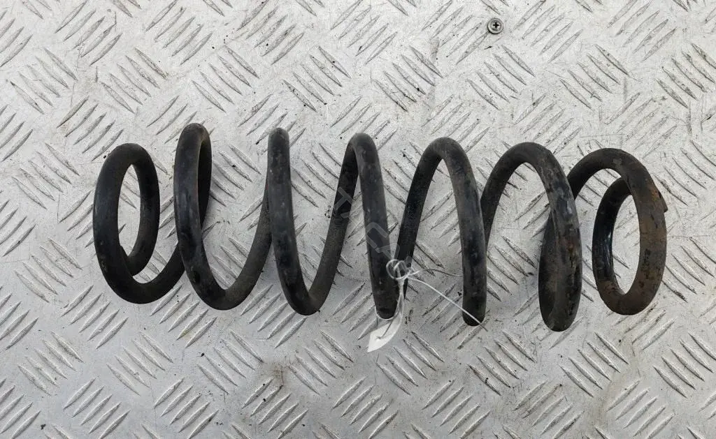 Пружины 55293702