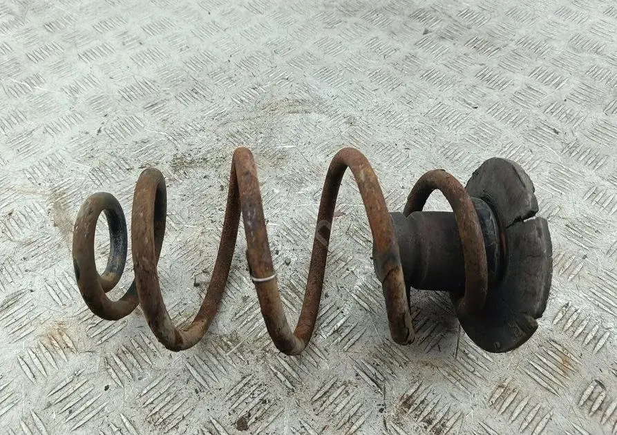 Пружины 55018907