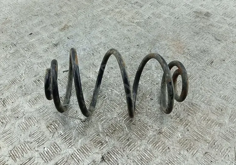 Пружины 54648227