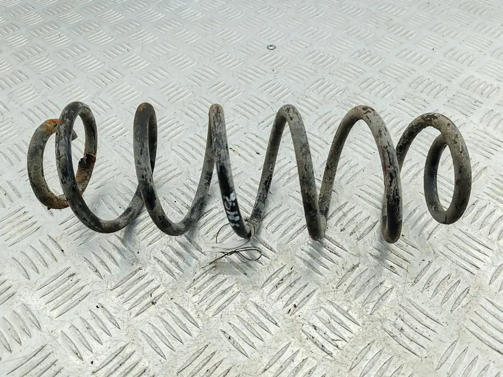 Пружины 55110478