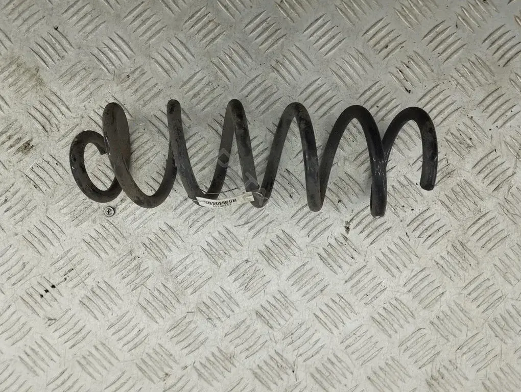 Пружины 55192253