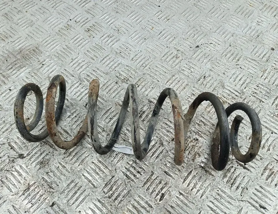 Пружины 54288283