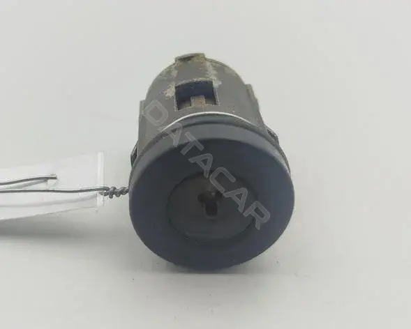 Личинка замка двери 55352464