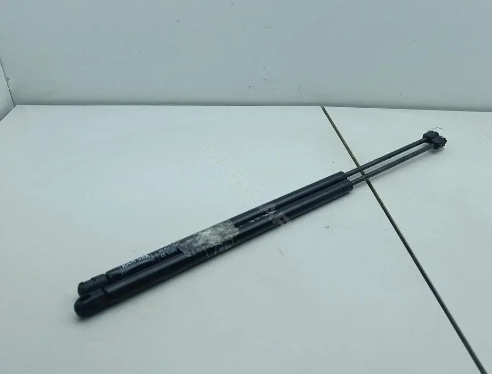 Амортизатор крышки багажника, капота, заднего стекла 7700828454