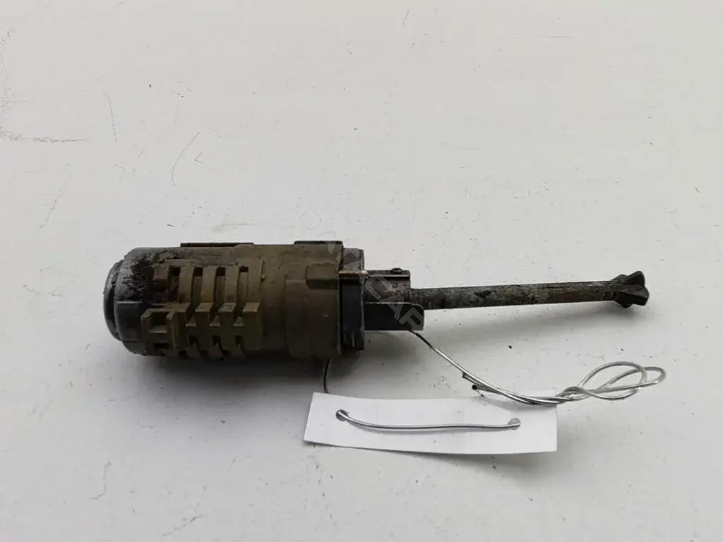Личинка замка двери 55339487