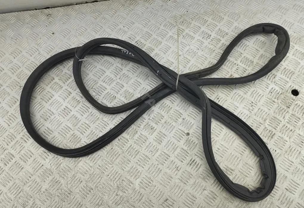Уплотнитель двери 55336836