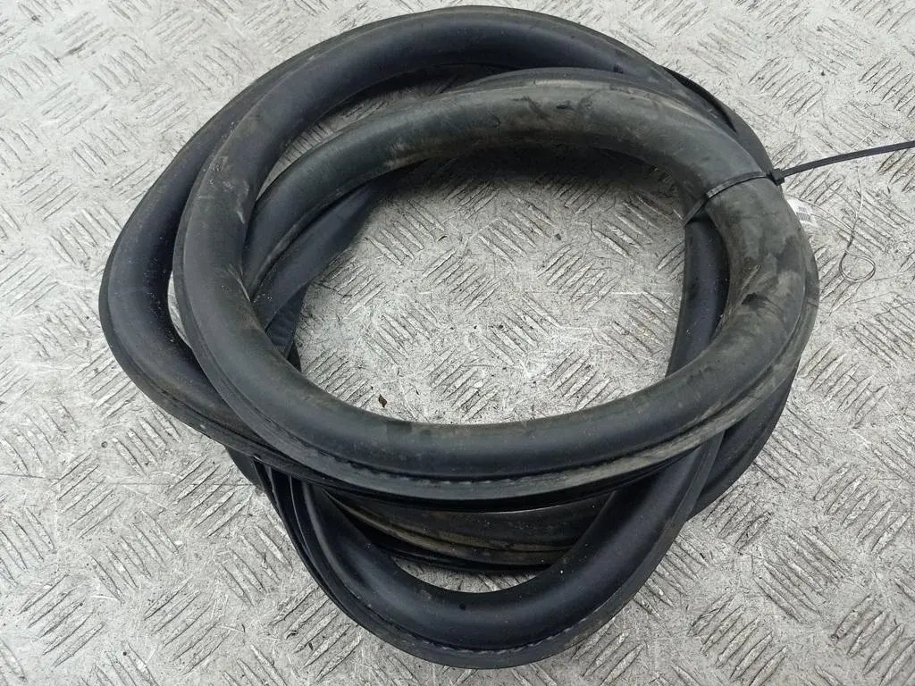 Уплотнитель двери 53580046
