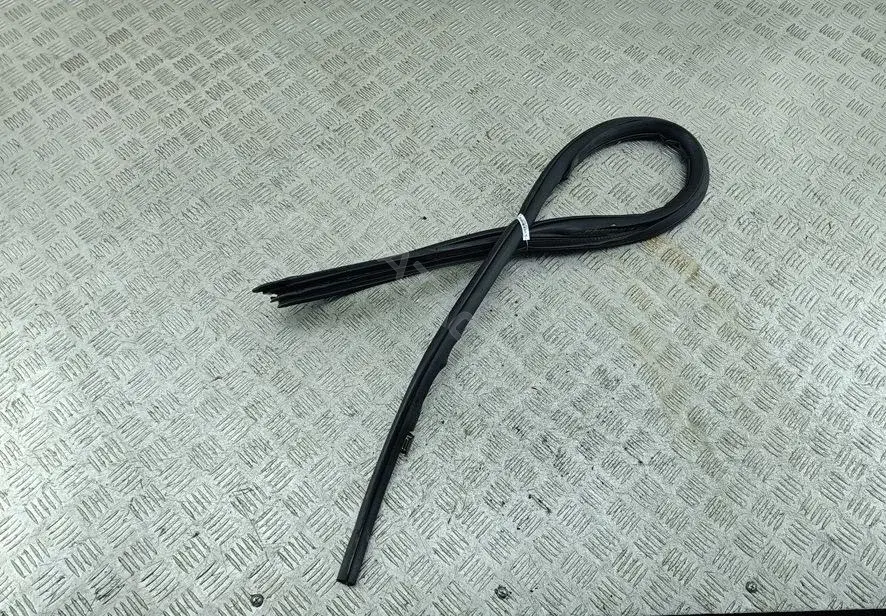 Уплотнитель двери 54979973
