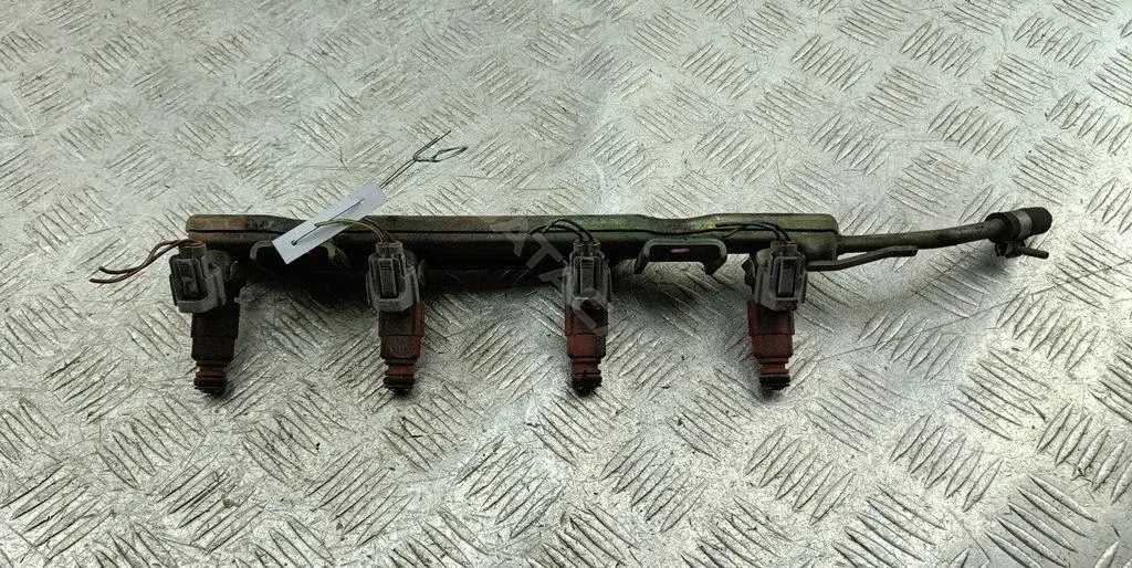 Форсунки 166009F600