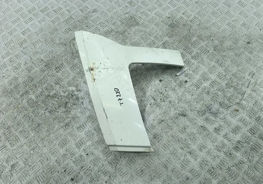 Ус под фару 54421276