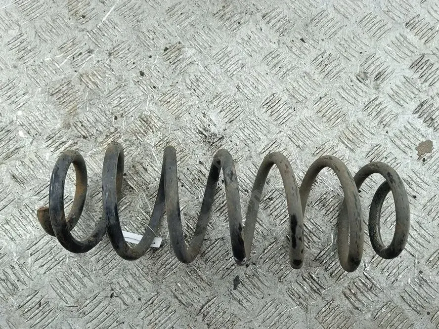 Пружины 55010593
