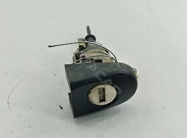 Личинка замка двери 55356194